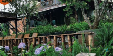 Tiệm Nhà Gỗ | Quán Cà Phê Ăn Sáng View Ruộng Siêu Chill Tại Di Linh.